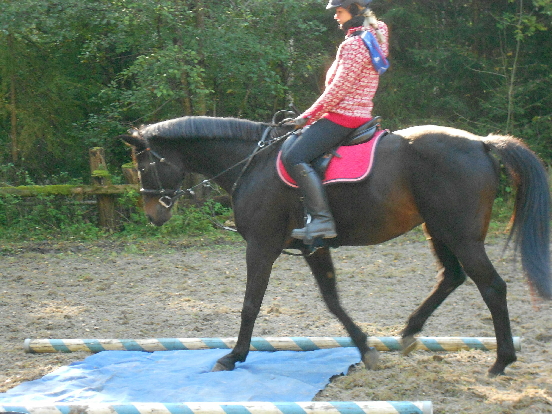 Schreiner Christina mit Holly